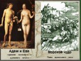 Адам и Ева гармония телесного и духовного начала. Морское чудо Поиск идеального тела