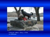 Памятник собаке Шепу в США, на р.Миссури.
