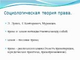 Социологическая теория права. Э. Эрлих, Г. Канторович, Муромцев. право и закон нетождественны между собой; закон - писаное право; право - реализация закона (то есть правопорядок, юридическая практика, правоприменение).