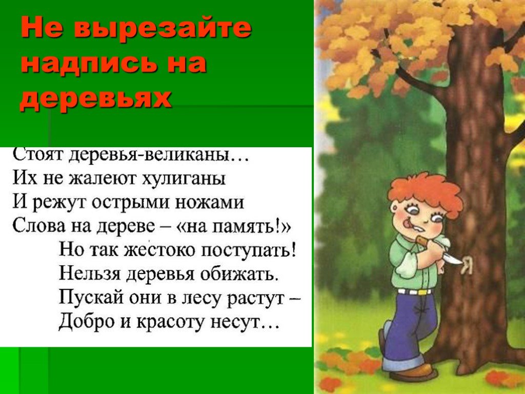 Деревья нельзя. Стихи о правилах поведения в лесу для детей. Стихи о правилах поведения в лесу для дошкольников. Что нельзя делать в лесу в стихах. Правила поведения с деревьями для детей.