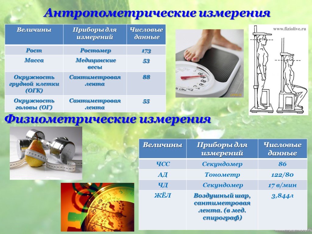 Антропометрические измерения. Антропометрическиtизмерениz. Способы выполнения антропометрических измерений. Измерение антропометрических показателей.