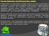 При этом, Вооруженные Силы РФ должны быть способны: В мирное время и в чрезвычайных ситуациях, сохраняя потенциал стратегического сдерживания и выполняя задачи поддержания боеготовности, войсками (силами) постоянной готовности без проведения дополнительных мобилизационных мероприятий успешно решать 