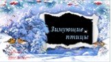Зимующие птицы. Титов Богдан Детский сад «Березка» группа «Полянка»