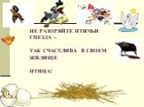 НЕ РАЗОРЯЙТЕ ПТИЧЬИ ГНЕЗДА – ТАК СЧАСТЛИВА В СВОЕМ ЖИЛИЩЕ ПТИЦА!