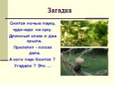 Загадка. Снится ночью пауку, чудо-юдо на суку. Длинный клюв и два крыла. Прилетит - плохи дела. А кого паук боится ? Угадали ? Это ...