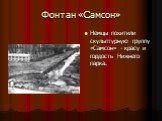 Фонтан «Самсон». Немцы похитили скульптурную группу «Самсон» - красу и гордость Нижнего парка.