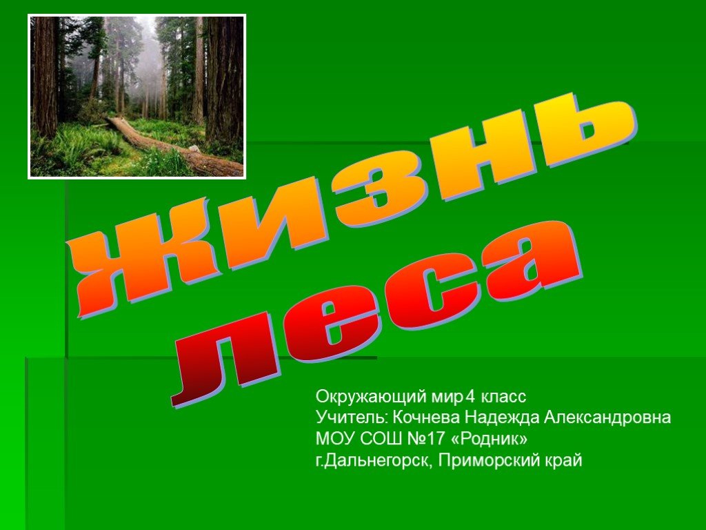 Лес видеоурок окружающий мир 4 класс. Презентация на тему жизнь леса. Жизнь леса 4 класс презентация. Жизнь леса 4 класс окружающий мир. Доклад жизнь леса.