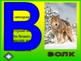 На овчарку он похож. Что ни зуб – то острый нож! Он бежит, оскалив пасть, На овцу готов напасть. ВОЛК