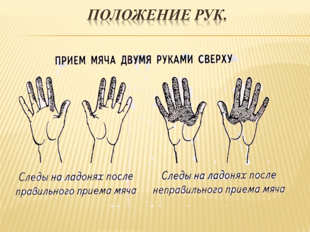 Как поставить руки