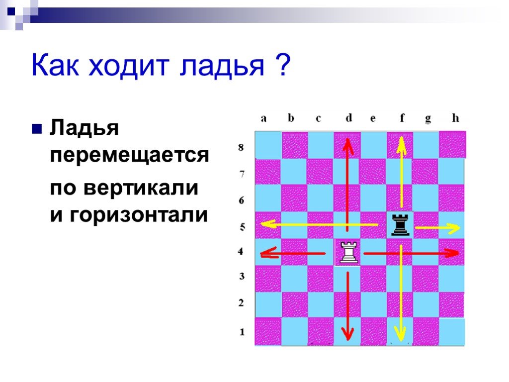 Шахматная ладья ходит по горизонтали или вертикали