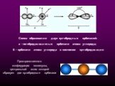 Схема образования двух sp-гибридных орбиталей: а - негибридизованные орбитали атома углерода; б - орбитали атома углерода в состоянии sp-гибридизации. Пространственная конфигурация молекулы, центральный атом которой образует две sp-гибридные орбитали