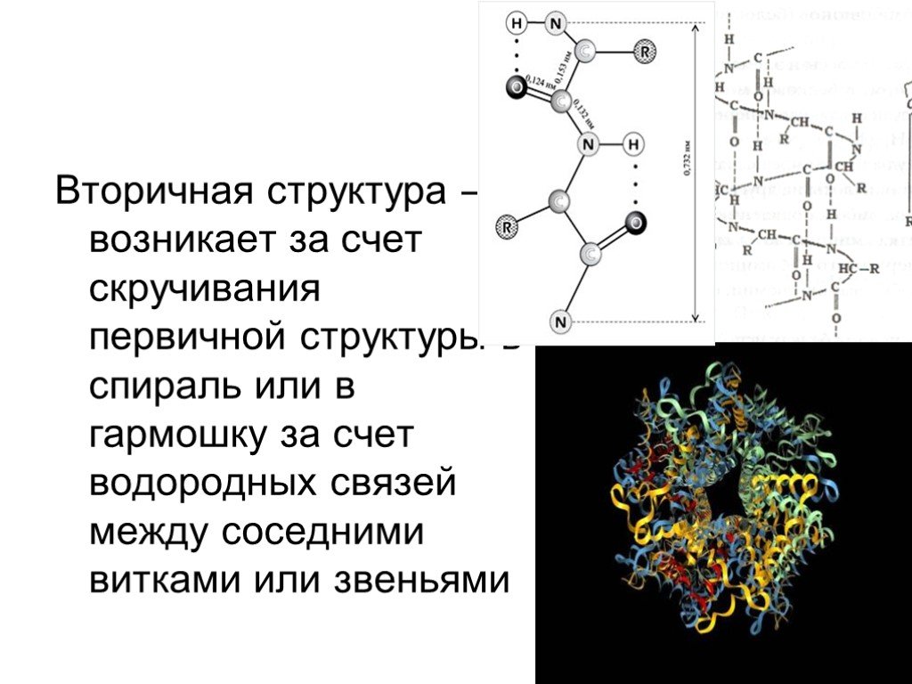 Аминокислоты и белки презентация по химии 9 класс