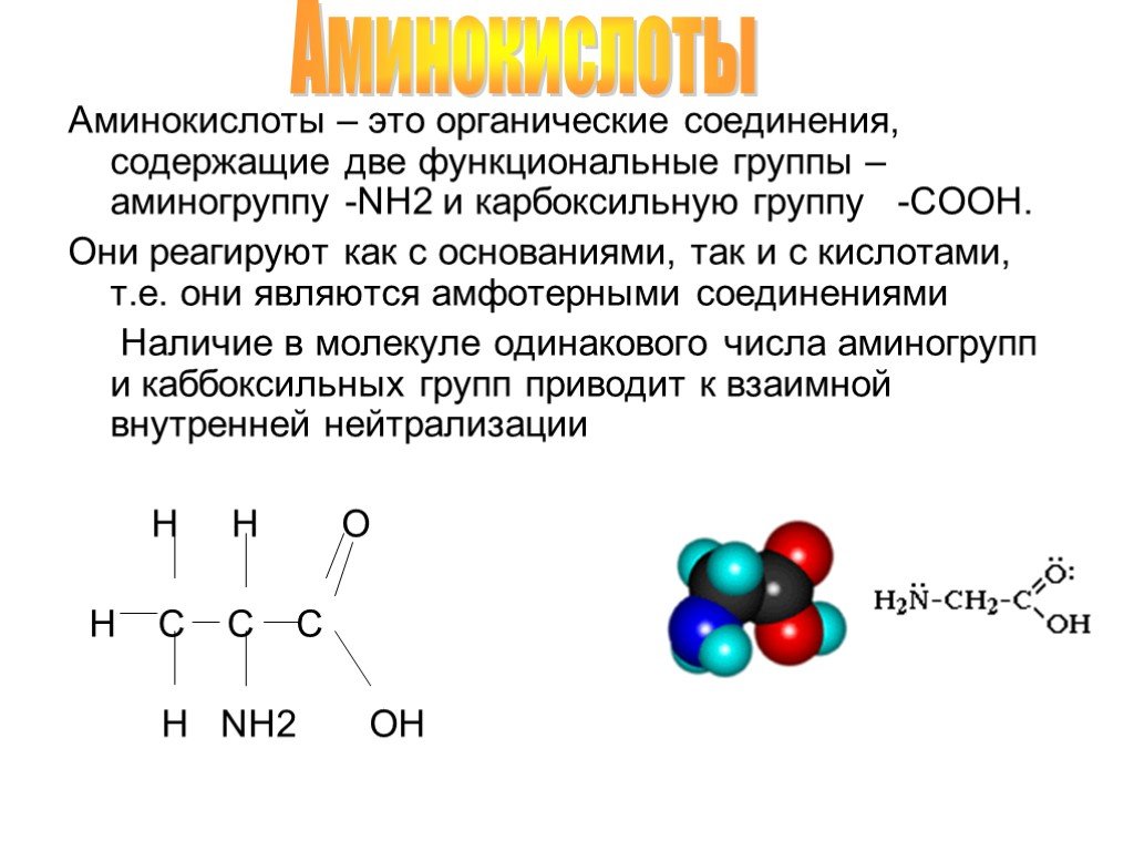 Аминокислоты в молекуле белка соединены