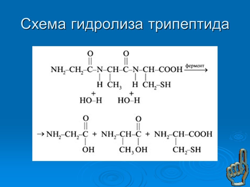 Щелочной гидролиз белков