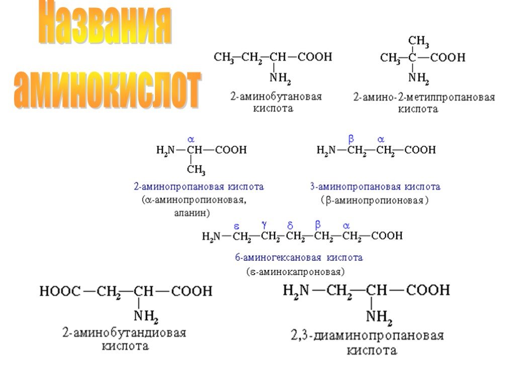 1 2 аминобутановая кислота. Аминокислота название соединения. Аминокислоты номенклатура и формулы. Название белков по аминокислотам. Амины аминокислоты белки химия.