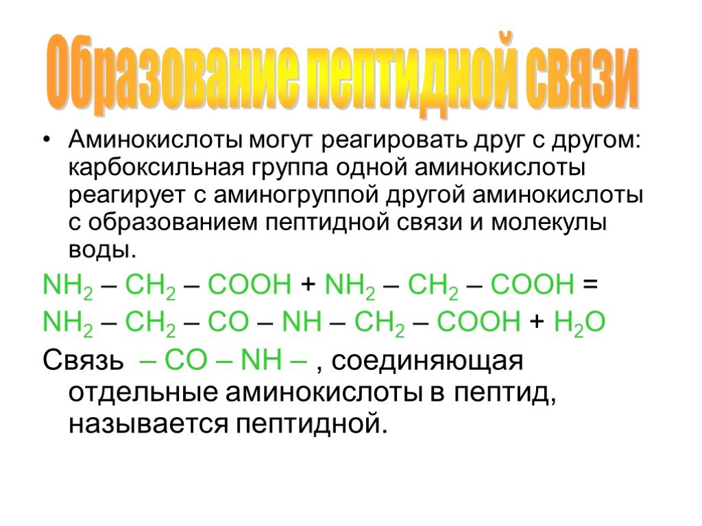 Связи аминокислот. Механизм образования пептидной связи химическая реакция. Механизм образования пептидной связи. Схема образования пептидной связи. Аминокислоты способны реагировать с.