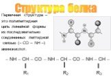 Первичная структура – это полипептидная цепь линейной формы из последовательно соединенных пептидной связью (– CO – NH –) аминокислот. – NH – CH – CO – NH – CH – CO – NH – CH – R1 R2 R3. Структура белка