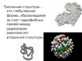 Третичная структура – это глобулярная форма, образующаяся за счет гидрофобных связей между радикалами аминокислот вторичной структуры