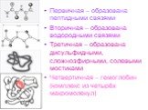 Первичная – образована пептидными связями Вторичная – образована водородными связями Третичная – образована дисульфидными, сложноэфирными, солевыми мостиками Четвертичная – гемоглобин (комплекс из четырёх макромолекул)