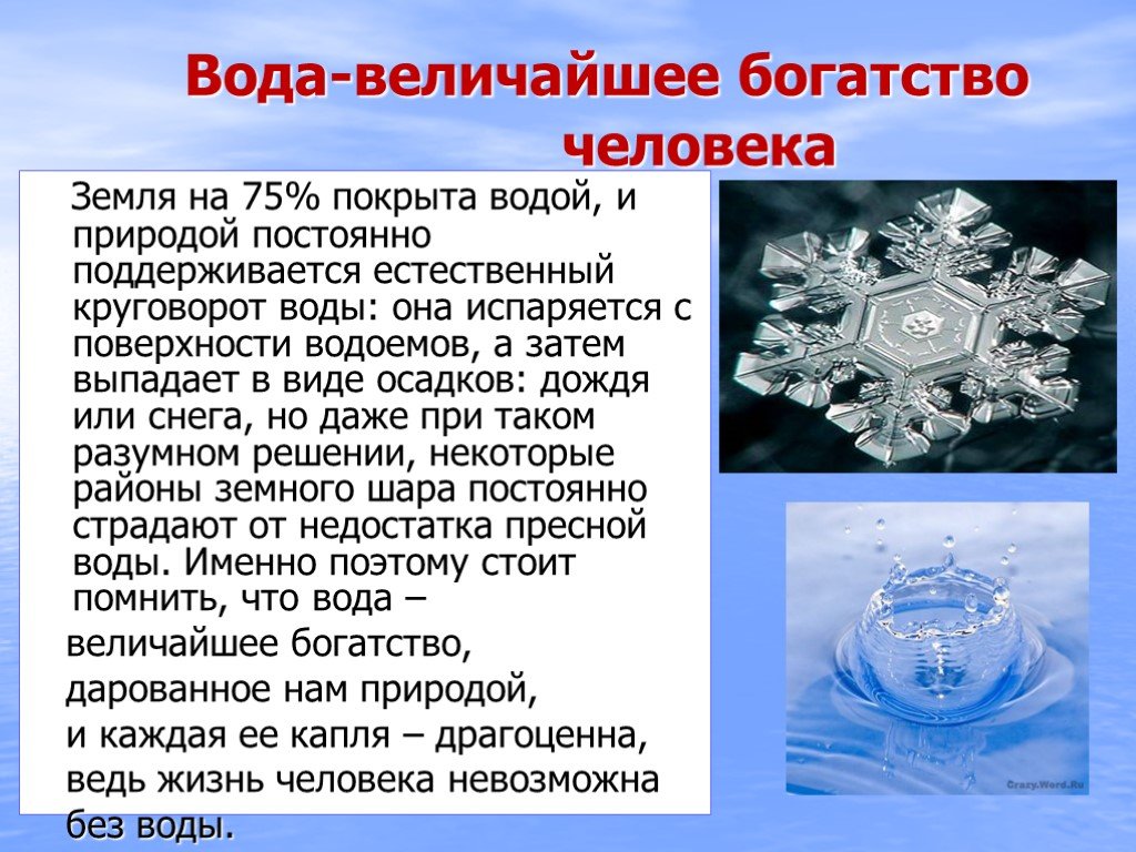 Проект на тему вода наше богатство 5 класс