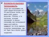 Аномально высокая теплоемкость Вода при нагревании на один градус поглощает в 5 – 30 раз больше тепла, чем какое-либо другое вещество. Поэтому и те процессы, которые происходят в нашем организме при интенсивной мышечной работе, вызывают не столь высокое поднятие температуры, как это было бы в случае