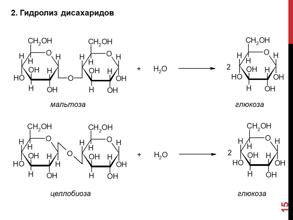 Реакция гидролиза дисахаридов. Реакция гидролиза Целлобиозы. Схема гидролиза мальтозы.