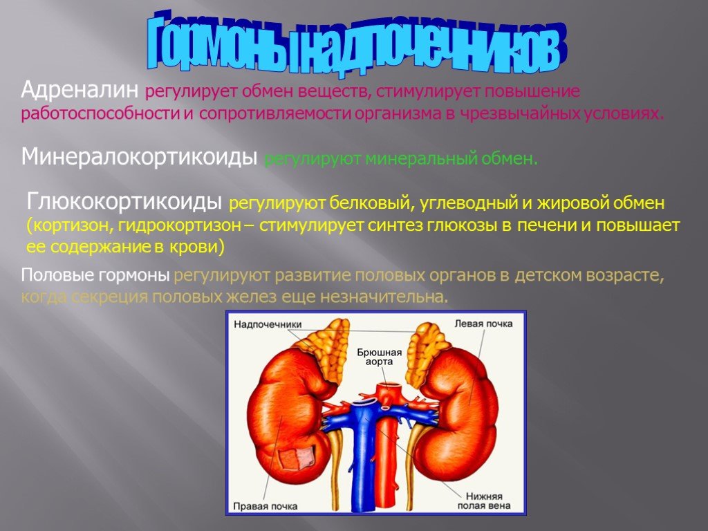 Определи рисунок на котором изображена железа вырабатывающая гормон адреналин