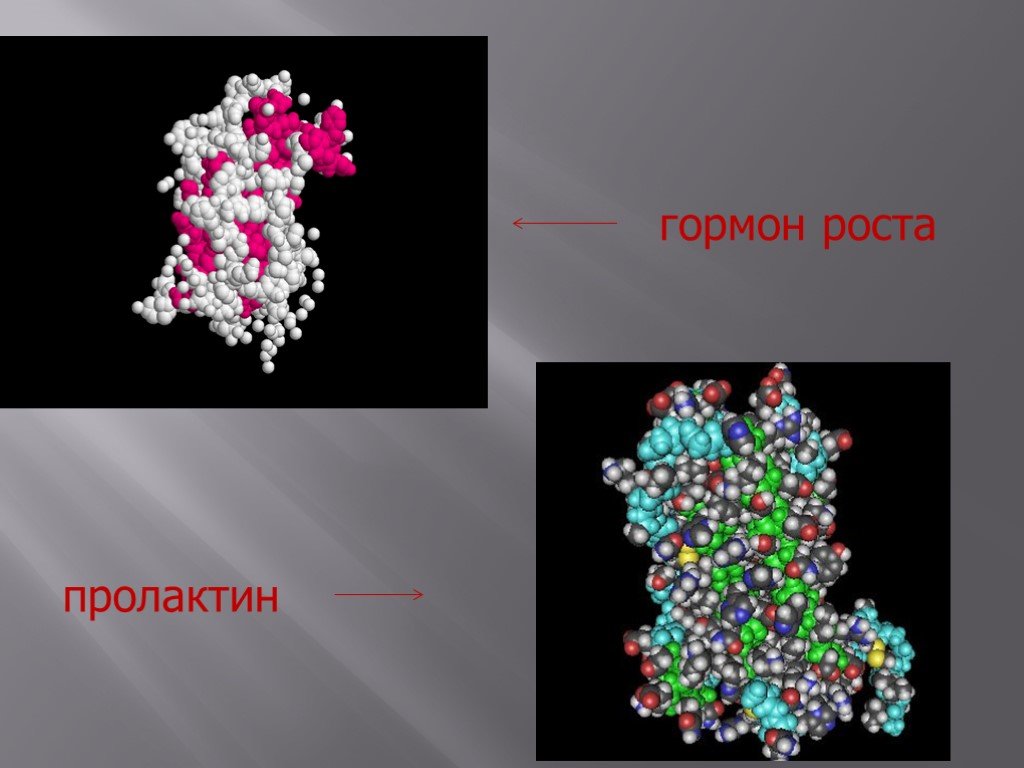 Проект по химии гормоны