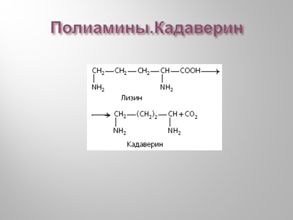 Кадаверин это. Полиамины. Полиамин формула. Получение кадаверина. Полиамины: этилендиамин, путресцин, кадаверин..