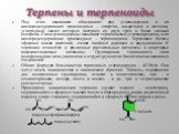 Терпены и терпеноиды. Под этим названием объединяют ряд углеводородов и их кислородсодержащих производных – спиртов, альдегидов и кетонов, углеродный скелет которых построен из двух, трех и более звеньев изопрена. Сами углеводороды называют терпеновыми углеводородами, а их кислородсодержащие произво