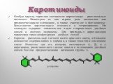 Каротиноиды. Особую группу терпенов составляют каротиноиды – растительные пигменты. Некоторые из них играют роль витаминов или предшественников витаминов, а также участвуют в фотосинтезе. Большинство каротиноидов относится к тетратерпенам. Их молекулы содержат значительное число сопряженных двойных 