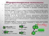 Жирорастворимые витамины. Витамин А относится к сесквитерпенам, содержится в масле, молоке, яичном желтке, рыбьем жире; свиное сало и маргарин его не содержат. Это витамин роста; недостаток его в пище вызывает убыль в весе, высыхание роговицы глаз, понижение сопротивляемости к инфекции. В организме 