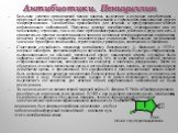 Антибиотики. Пенициллин. Большим успехом органической химии явилось выделение и изучение антибиотиков – природных веществ, синтезируемых микроорганизмами и тормозящих размножение других микроорганизмов. Антибиотики применяются для лечения и предупреждения многих инфекционных заболеваний. Получены де