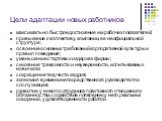 Цели адаптации новых работников. максимально быстрое достижение им рабочих показателей; привыкание к коллективу, компании, ее неофициальной структуре; освоение основных требований корпоративной культуры и правил поведения; уменьшение стартовых издержек фирмы; снижение тревожности и неуверенности, ис