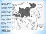 В настоящее время тюркские народы расселены и разобщены на территории разных государств — от Средней и Центральной Азии, Северный Кавказ, Закавказья, Средиземноморья, Южной и Восточной Европы и далее на восток — вплоть до Дальнего Востока России[7]. Тюркское меньшинство имеется также в государствах 