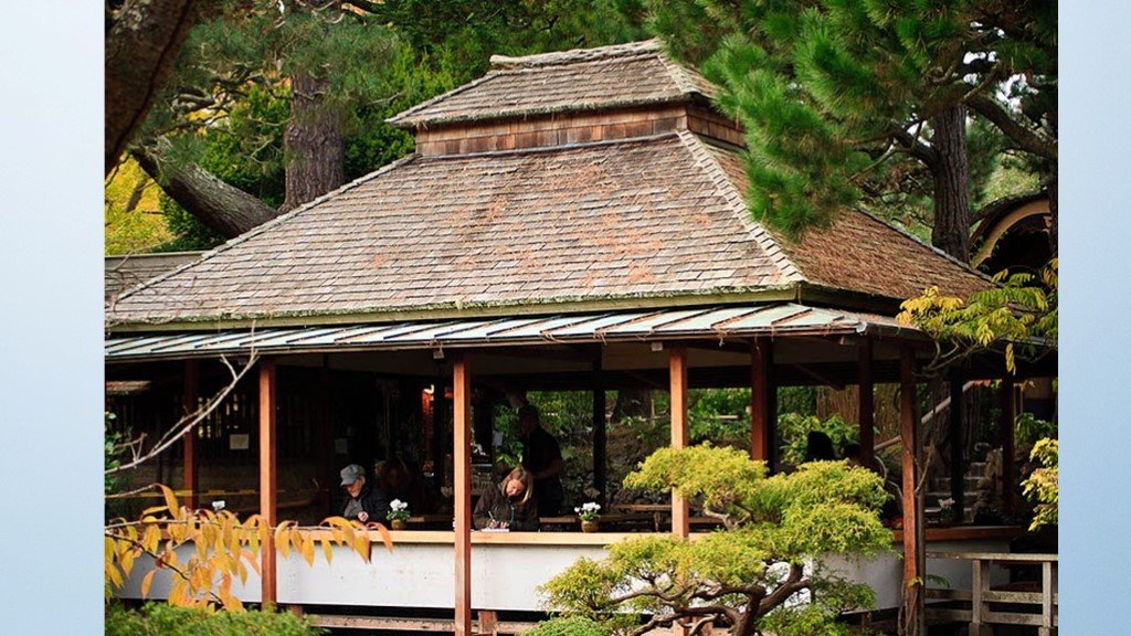 Чайная церемония в японском саду. Японский чайный сад в Сан-Франциско. Чайный сад в Сан Франциско. Чайный сад Тянива в Японии. Чайный сад Родзи в Японии.