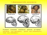 В процессе становления человечества различают три периода: древнейшие люди (архантропы), древние люди (палеоантропы), новые люди (неоантропы).