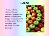 Плоды. Плоды яблони-яблоки. Размер красных, зелёных или жёлтых шаровидных плодов в зависимости от вида может быть с горошину или достигать 15 см в диаметре.