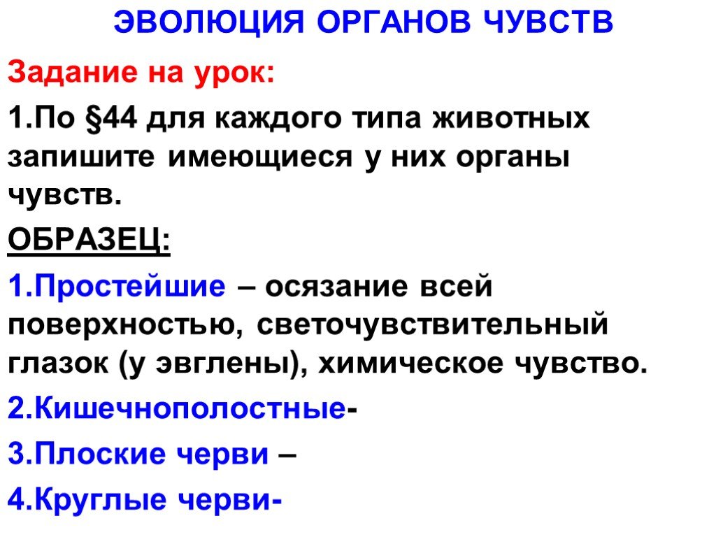 Органы чувств 7 класс биология презентация