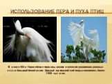Использование пера и пуха птиц. В конце XIX в. Европейские модницы носили в качестве украшения длинные перья большой белой цапли. Каждый год жертвой этой моды становились более 200 тыс. птиц.