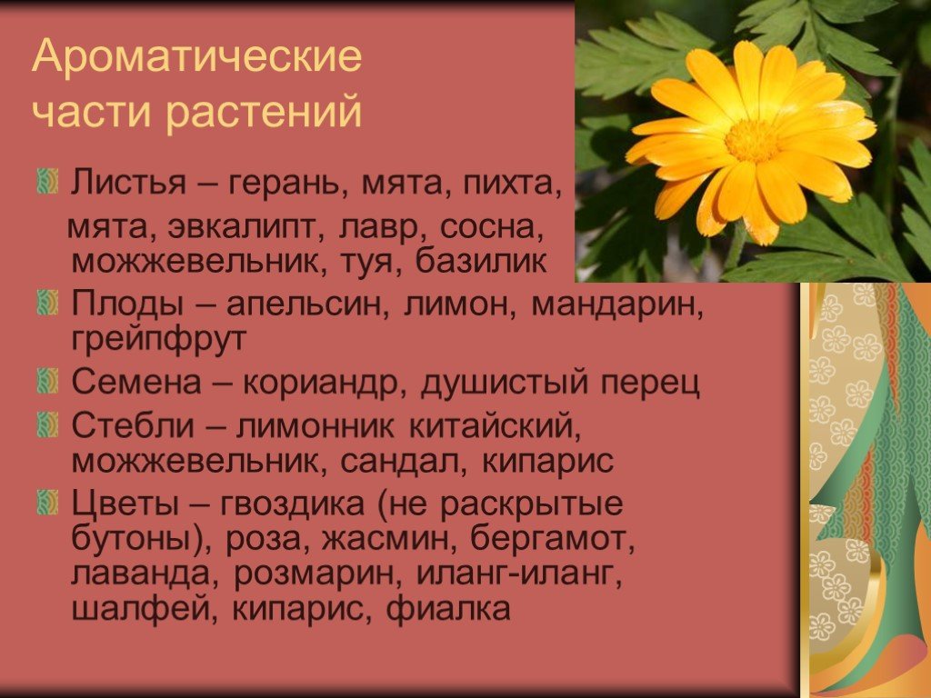 Ароматические вещества и их значение для человека проект по биологии 9 класс