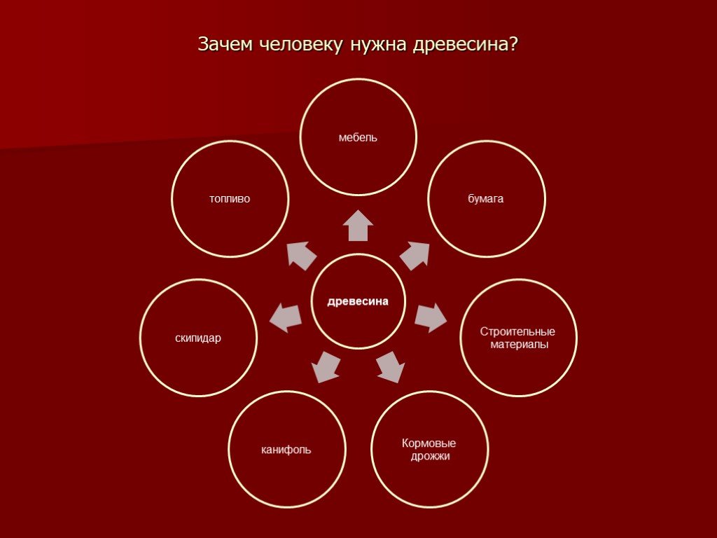 Для чего нужна древесина. Зачем нам нужны деревья. Зачем человеку деревья. Для чего служат деревья. Для чего нужны деревья в городе.