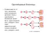 В зависимости от того, насколько рано произошло деление яйца, у однойцевых близнецов может быть одна плацента или у каждого своя, один амниотический пузырь на двоих или у каждого свой. (из http://www.babyplan.ru)