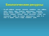 Биологические ресурсы. Из рыб наиболее ценными являются лососёвые: кета, горбуша, кижуч, чавыча, нерка. Известны промысловые скопления сельди, минтая, камбалы, трески, наваги, мойвы, корюшки. Большое экономич. значение имеют камчатский и синий, или плосконогий, крабы (по запасам промыслового краба О