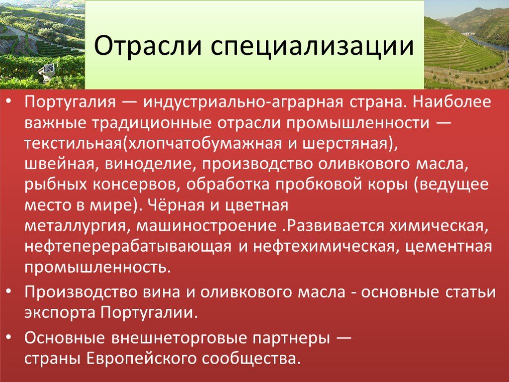 Отрасли специализации хозяйства. Специализация промышленности Португалии. Отрасли сельского хозяйства Португалии. Международная специализация Португалии.