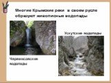 Многие Крымские реки в своем русле образуют живописные водопады. Черемисовские водопады. Ускутские водопады