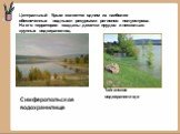 Центральный Крым является одним из наиболее обеспеченных водными ресурсами регионов полуострова. На его территории созданы десятки прудов и несколько крупных водохранилищ. Симферопольское водохранилище. Тайганское водохранилище