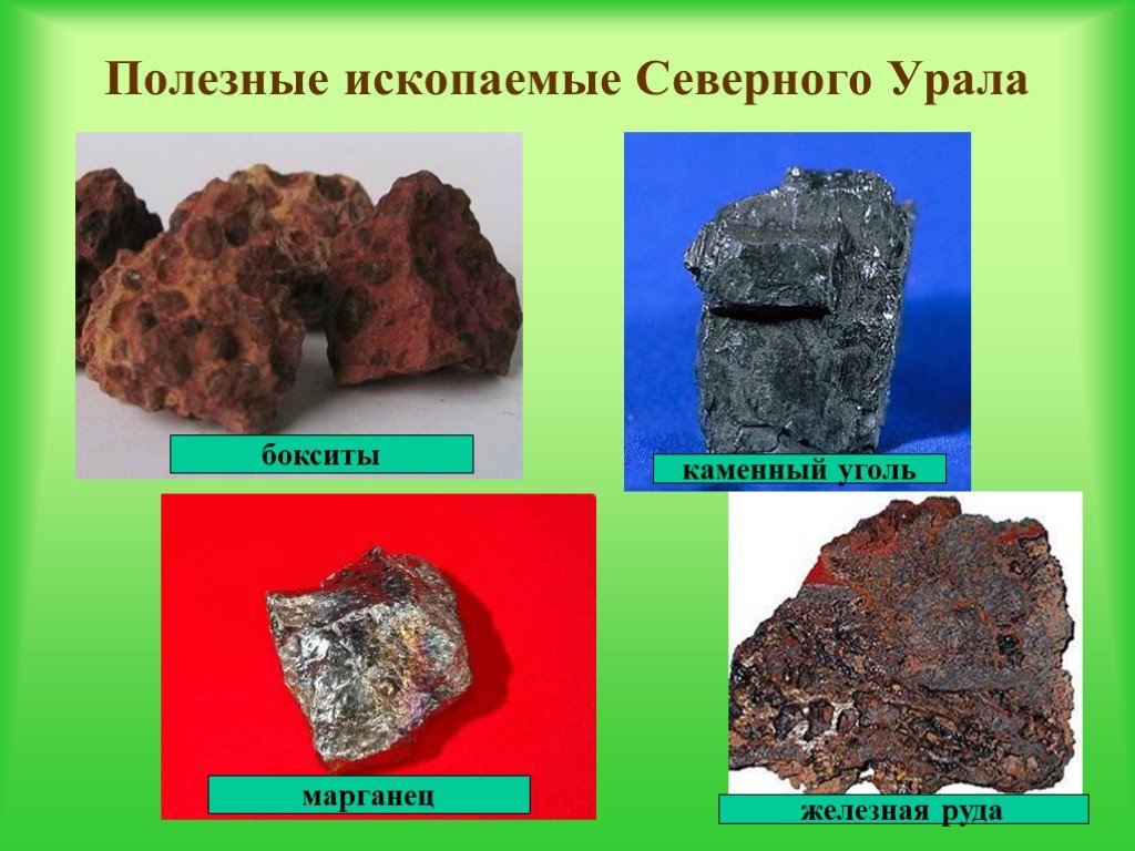 Каменные угли севера россии