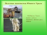 Полезные ископаемые Южного Урала. На Южном Урале ведется добыча железных, медных руд, асбеста