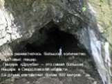 Здесь разместилось большое количество карстовых пещер. Пещера «Дружба» – это самая большая пещера в Свердловской области. Её длина составляет более 500 метров.